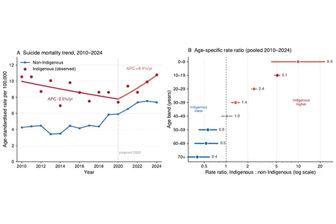 Suicide mortality trends and age-specific rate ratios for Indigenous people in Brazil